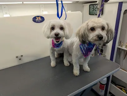 Zen Dog Mobile Groom Spa, LLC — photo from their website