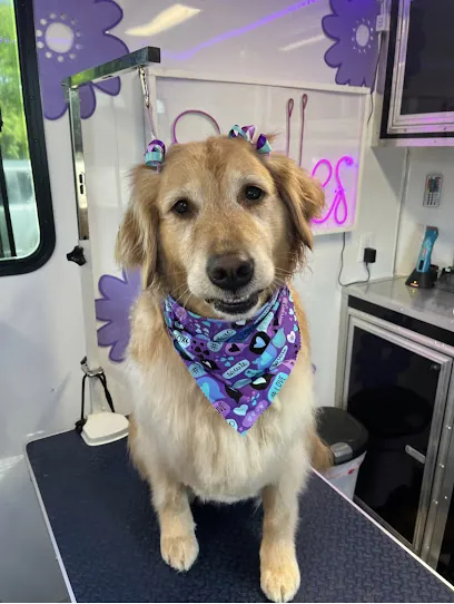 Oodles Mobile Grooming — photo from their website