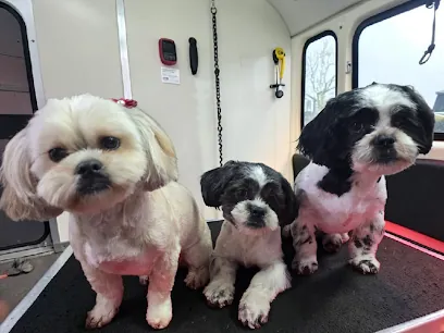 Carolina Custom Cutz Mobile Dog Grooming — photo from their website
