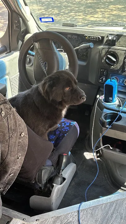 Pawradise Mobile Pet Grooming — photo from their website
