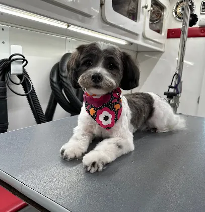 Puppy Love Mobile Grooming — photo from their website