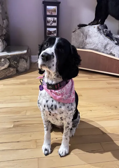 Yukon Tails Mobile Pet Grooming — photo from their website