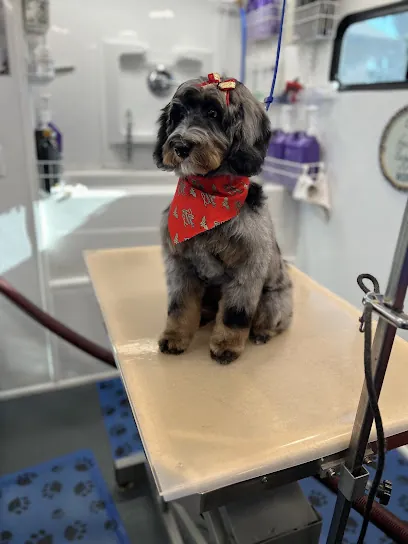 K-9 By Design Mobile Grooming — photo from their website
