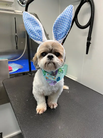 Divine K-9 Mobile Pet Grooming — photo from their website