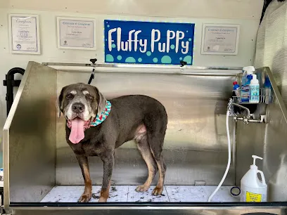 Fluffy Puppy Mobile Salon — photo from their website