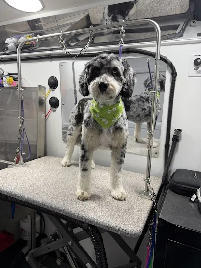 Kontota Mobile Dog Grooming of Lancaster, PA — photo from their website