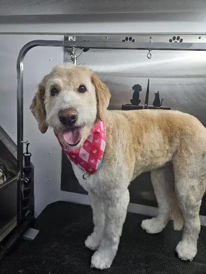 The Mobile Groom Room — photo from their website