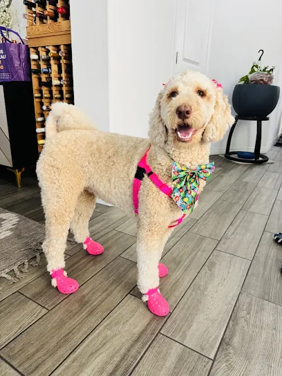 Mom N Pup Mobile Grooming — photo from their website