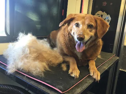 The Bark ‘N Barber Mobile Grooming — photo from their website