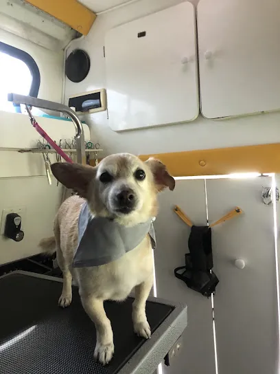 Sloppy Kisses Mobile Pet Salon — photo from their website
