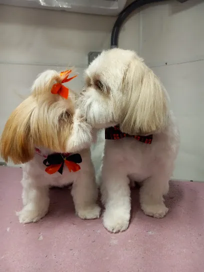 Poofy Pets mobile grooming — business logo from Google