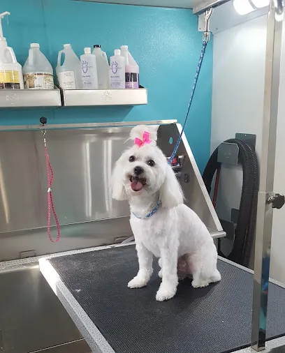 Stewie's Mobile Dog Grooming — photo from their website