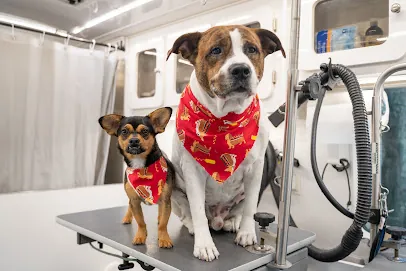 4Pets Mobile Care Services — photo from their website