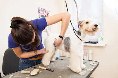 Mobile Dog Grooming Hialeah — photo from their website