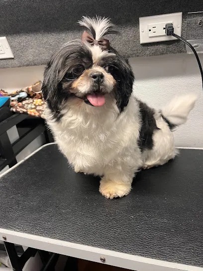 SPAW: Mobile Pet Grooming — photo from their website