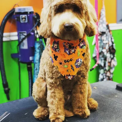 Lovely paws mobile pet salon — photo from their website