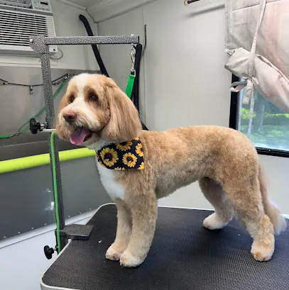 HAIR OF THE DOG Mobile Pet Salon — photo from their website