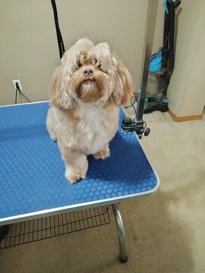 Puppy Cuts Mobile Grooming — photo from their website