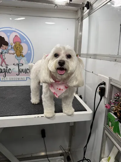 Magic touch Pet Grooming (Mobile) — photo from their website
