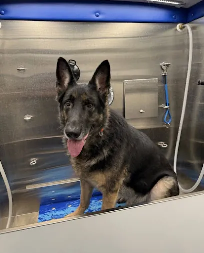 WOOF! THERE IT IS! Mobile Dog Spa — photo from their website