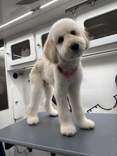 DapperTails Mobile Pet Grooming of Charlotte — photo from their website