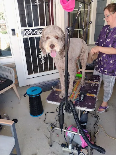 Lilys Mobile Grooming LLC — photo from their website