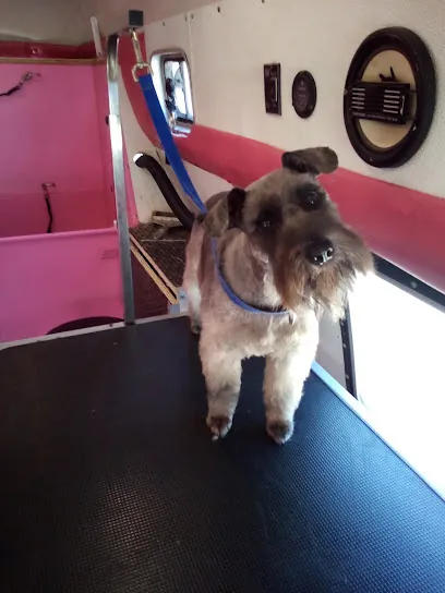 Pretty Pets Mobile Grooming — photo from their website