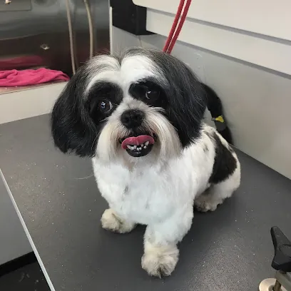 Maggie's Mobile Paw Spa — photo from their website