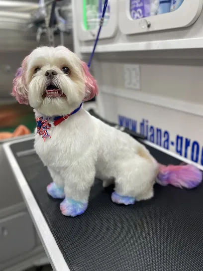 Mobile Dog Grooming DIANA — business logo from Google
