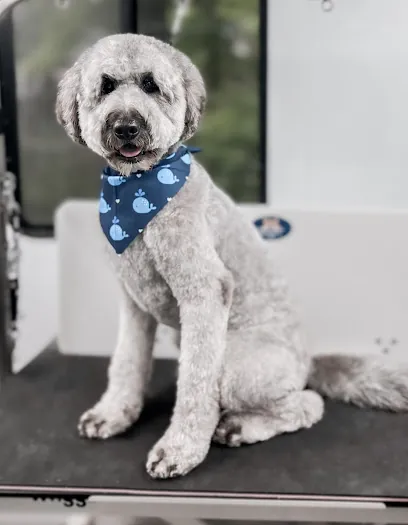 Brandyapple Mobile Grooming — photo from their website