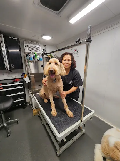 PetGrooming2u - Mobile Pet Groomer Ft. Worth, Tx — photo from their website