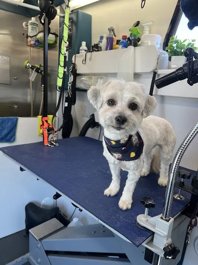 Petite Paws Mobile Dog Spa — photo from their website