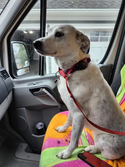 Wunderful Tails Mobile Pet Salon LLC — photo from their website