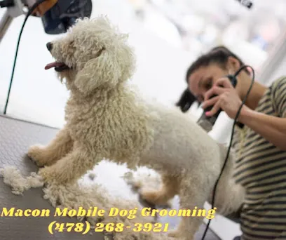 Macon Mobile Dog Grooming — photo from their website