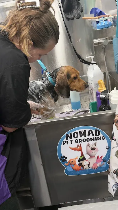 Nomad Pet Grooming Mobile — photo from their website