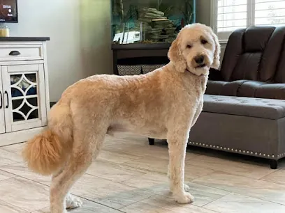 Pet Spa & Mobile Grooming — photo from their website