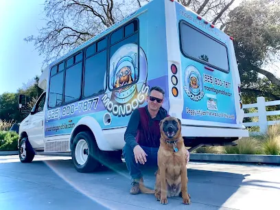 Moondogs Mobile Grooming LLC — photo from their website