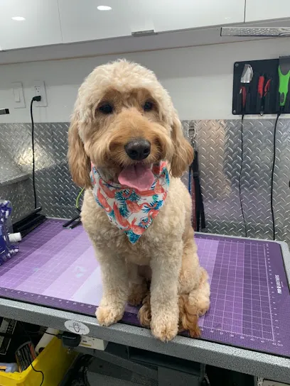 Oakland Park Mobile Pet Grooming — photo from their website