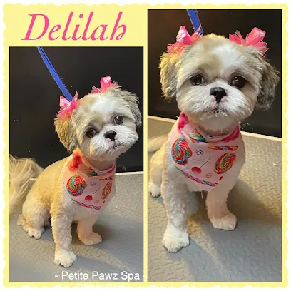 Petite Pawz Spa Mobile Grooming — photo from their website