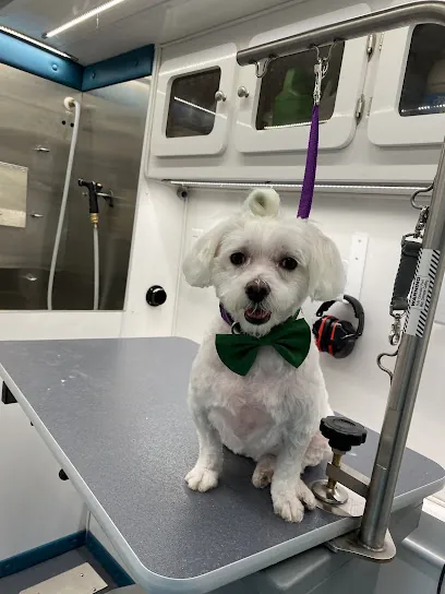 Blooms Grooms Mobile — photo from their website