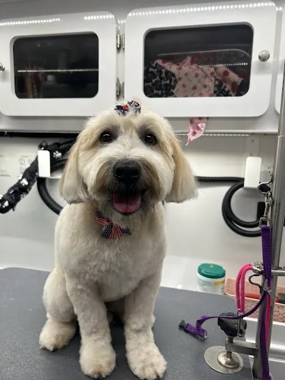 Lavish Lather Mobile Grooming — photo from their website