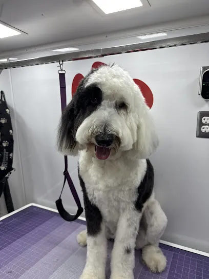 Professional Pet Dog Grooming - Mobile — photo from their website