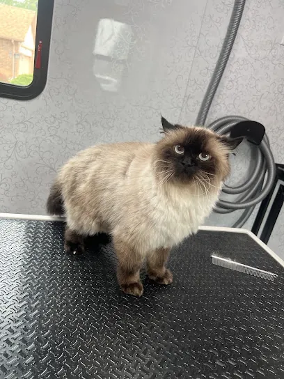 Moving ‘N Grooming Mobile Spa — photo from their website