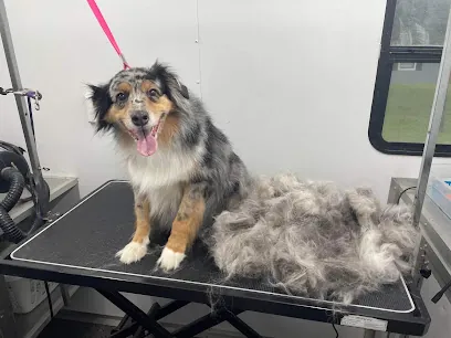 Shear Magic Mobile Pet Spa LLC — photo from their website