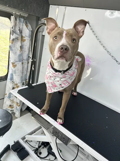 Pet-Ex Pets Mobile Grooming — photo from their website