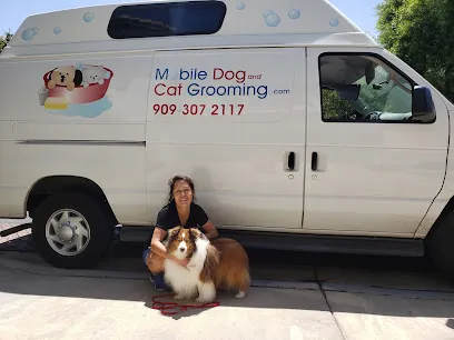 Mobile dog and cat grooming — photo from their website