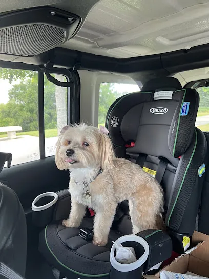 The Dog Choice Mobile Dog Grooming — photo from their website