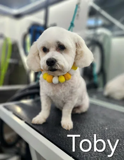 Elite Pooch Mobile Grooming — photo from their website