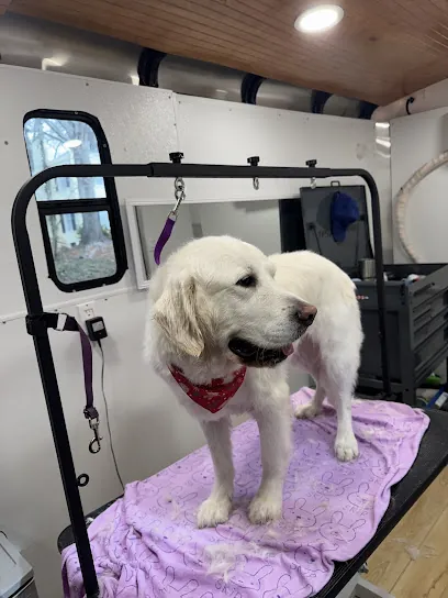 Soapy Paws Mobile Pet Grooming — photo from their website