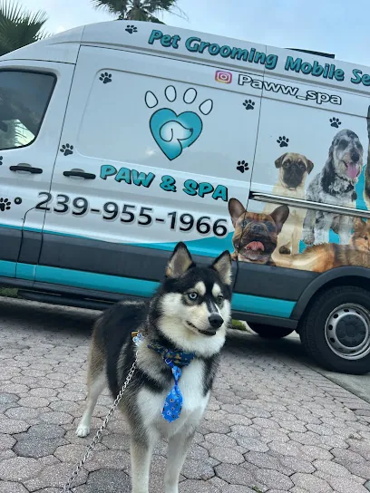 Paw & Spa Mobile Grooming — photo from their website
